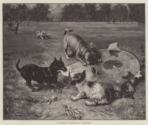ウィンドフォール 作： Carl Reichert